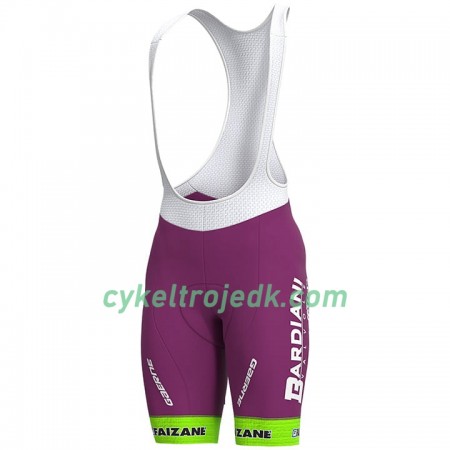 Bib Cykelshorts 2020 Bardiani-CSF N001 